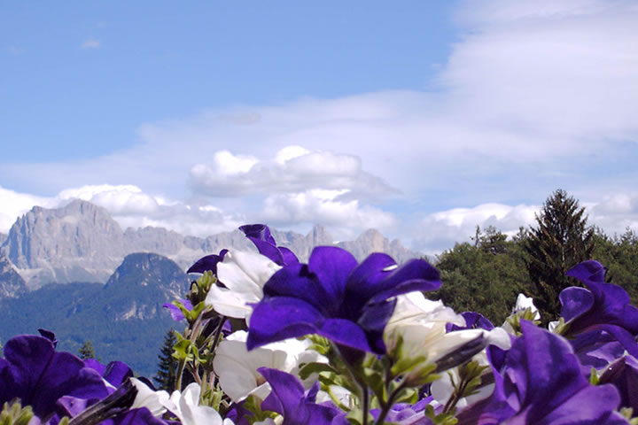 Dolomiten-Blick