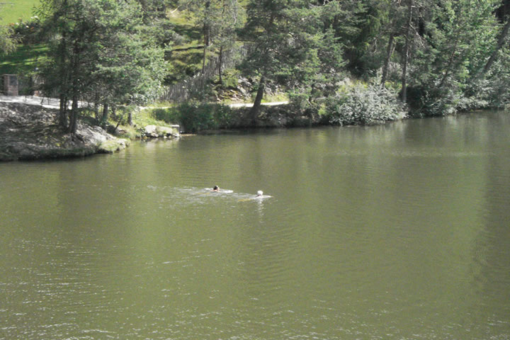 Schwimmen im See