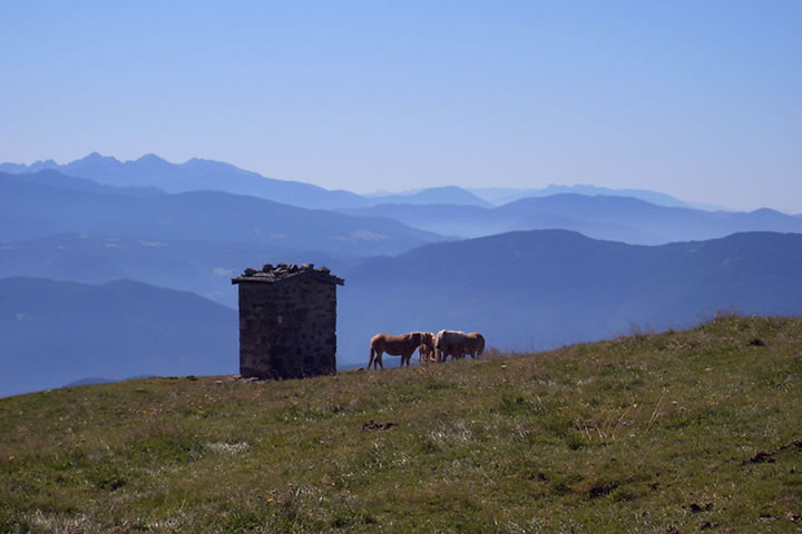 Wandern am Rittner Horn